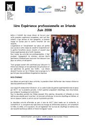 1Ã¨re ExpÃ©rience professionnelle en Irlande Juin 2008