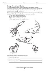 Ch 3-2 Trophic Levels