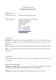 Elisabetta Moratti CV (pdf, it, 34 KB, 5/3/10)