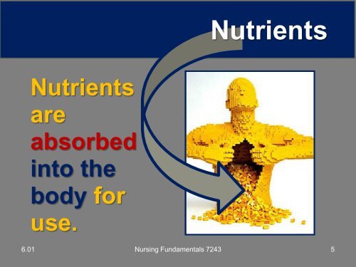 6.01 Nutrition and Hydration