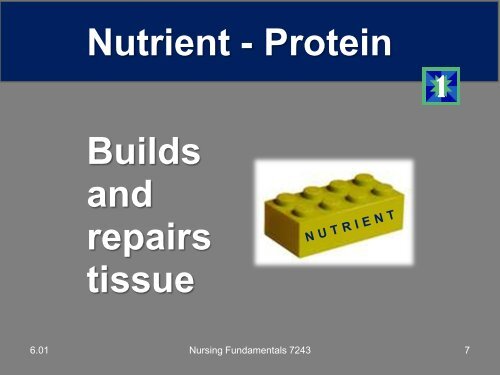 6.01 Nutrition and Hydration