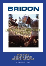 LOG RIGGING EQUIPMENT CATALOGUE - Bridon