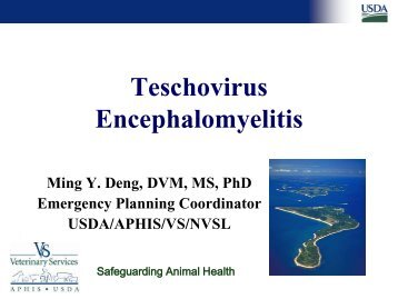 Teschovirus Encephalomyelitis - Caribvet