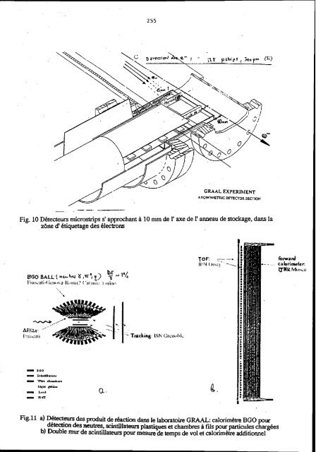 Les noyaux en 1993 : une nouvelle faÃ§on d'exister - Cenbg - IN2P3