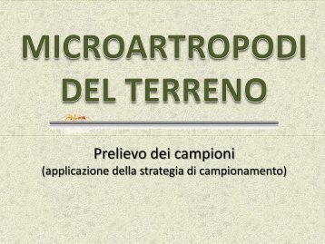 microartropodi del terreno 2 - Scuola21 - Fermi