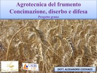 Agrotecnica del frumento - Confagricoltura Alessandria
