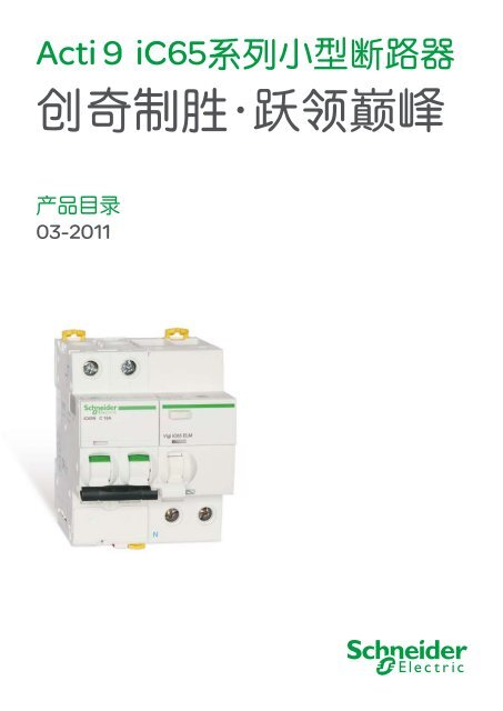 åå¥å¶è è·é¢å·å³° - Schneider Electric
