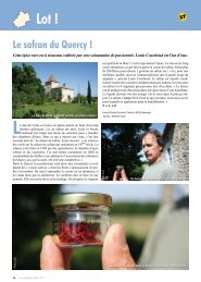 Les Miniatures… - Le Canard Gascon