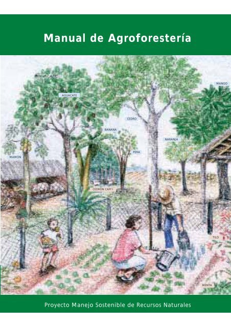 Manual de AgroforesterÃƒÂa - Instituto del Bien Comun