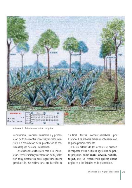 Manual de AgroforesterÃƒÂ­a - Instituto del Bien Comun