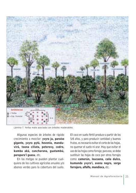 Manual de AgroforesterÃƒÂ­a - Instituto del Bien Comun