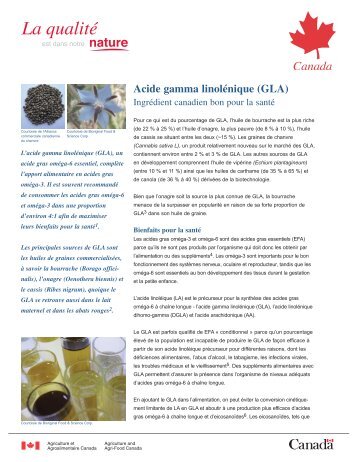 Acide gamma linolÃ©nique (GLA)