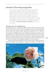 Summer flowering magnolias - International Dendrology Society