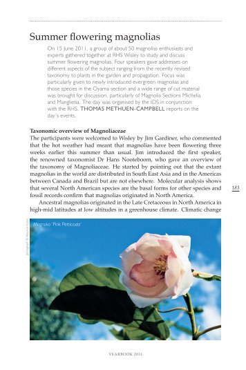 Summer flowering magnolias - International Dendrology Society