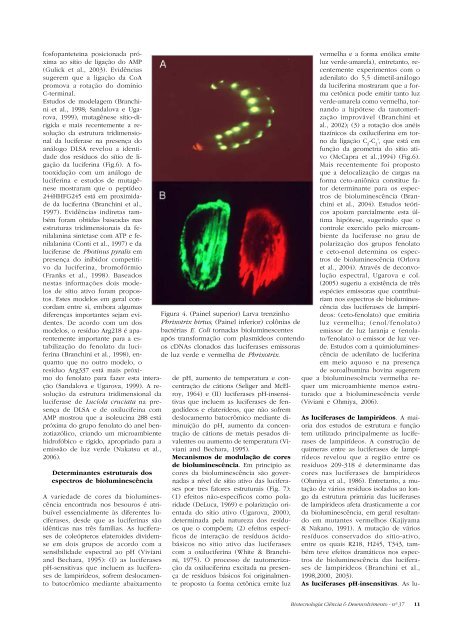 Biotecnologia CiÃªncia & Desenvolvimento - nÂº 37 1