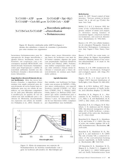 Biotecnologia CiÃªncia & Desenvolvimento - nÂº 37 1