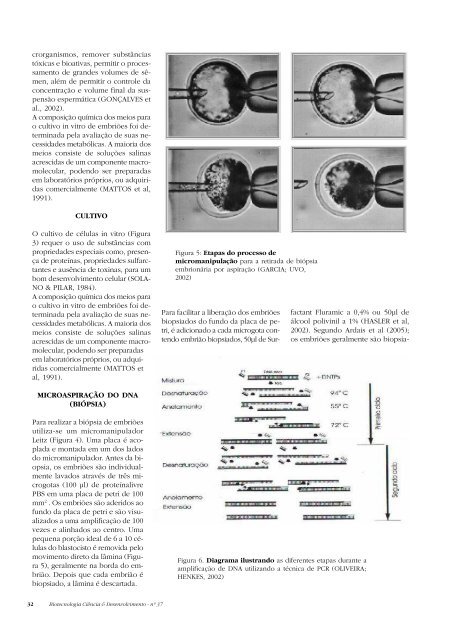 Biotecnologia CiÃªncia & Desenvolvimento - nÂº 37 1