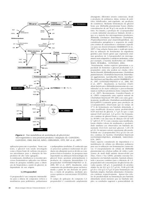 Biotecnologia CiÃªncia & Desenvolvimento - nÂº 37 1