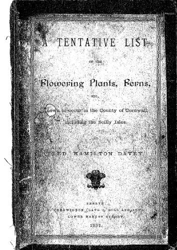 Davey's Tentative List - Botanical Society of the British Isles