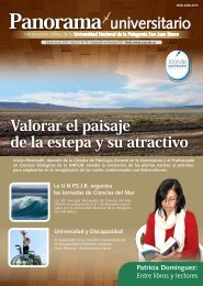 Panorama universitario - Universidad Nacional de la Patagonia San ...