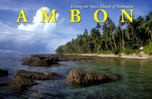 Ambon - X-Ray Magazine