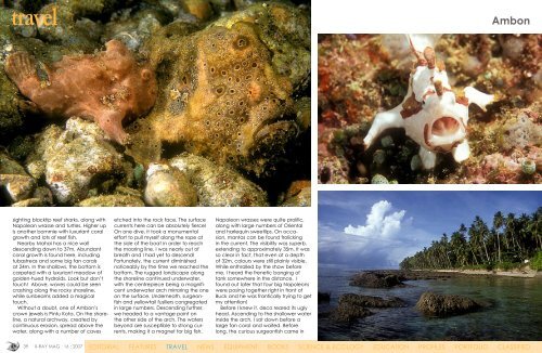 Ambon - X-Ray Magazine