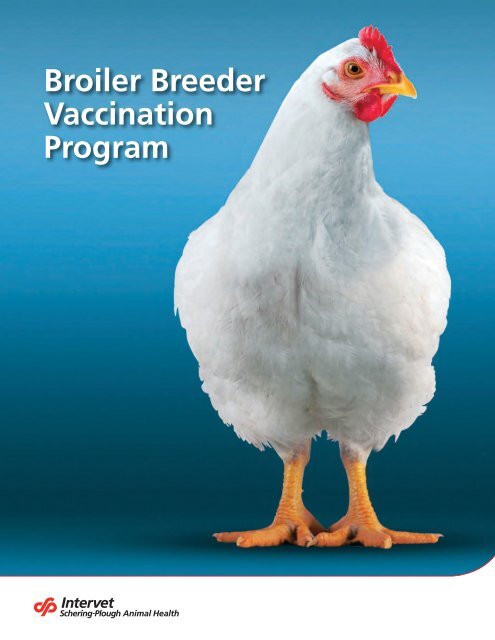 Broiler Breeder Vaccination Program - Merck Animal Health