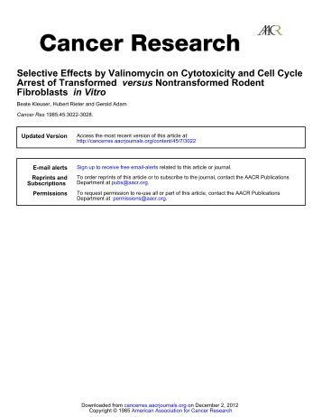 Selective Effects by Valinomycin on Cytotoxicity ... - Cancer Research