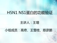 H5N1 NS1蛋白的功能验证 - abc