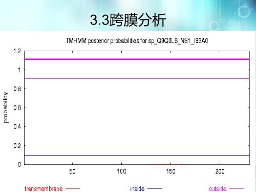 H5N1 NS1蛋白的功能验证 - abc