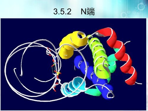 H5N1 NS1蛋白的功能验证 - abc