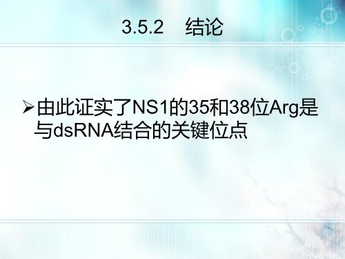 H5N1 NS1蛋白的功能验证 - abc