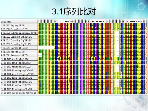 H5N1 NS1蛋白的功能验证 - abc