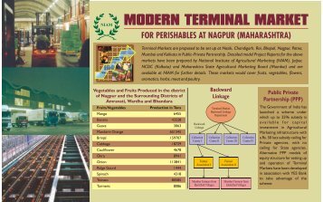 Nagpur_Terminal Market - Agmarknet