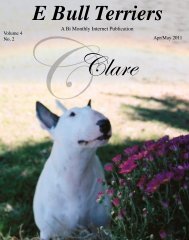 Download April/ May Edition in PDF - E Bullterriers