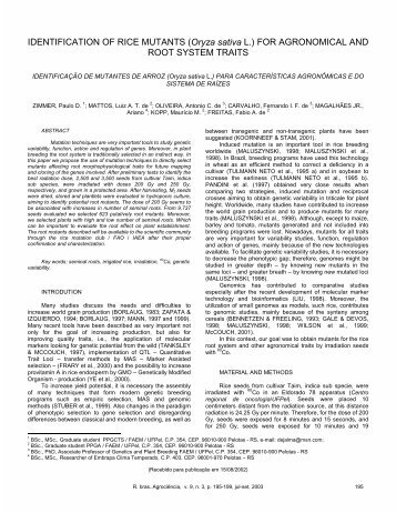 IDENTIFICATION OF RICE MUTANTS (Oryza sativa L.) FOR ...