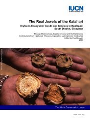 The Real Jewels of the Kalahari