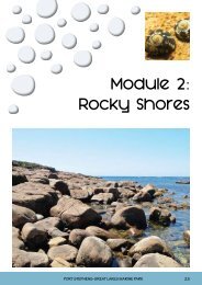 Module 2: Rocky Shores - Marine Parks Authority NSW