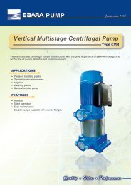 Vertical Multistage Centrifugal Pump - Ebara