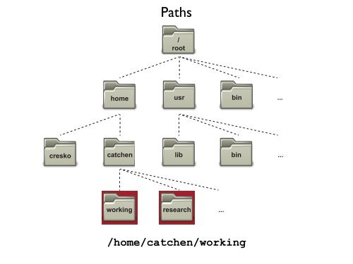 Unix History