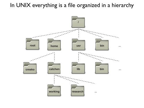 Unix History