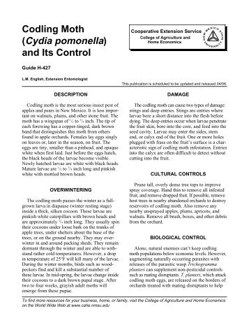 Codling Moth (Cydia pomonella) and Its Control - New Mexico State ...