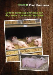 Indoor housing systems for dry sows - Compassion in World Farming