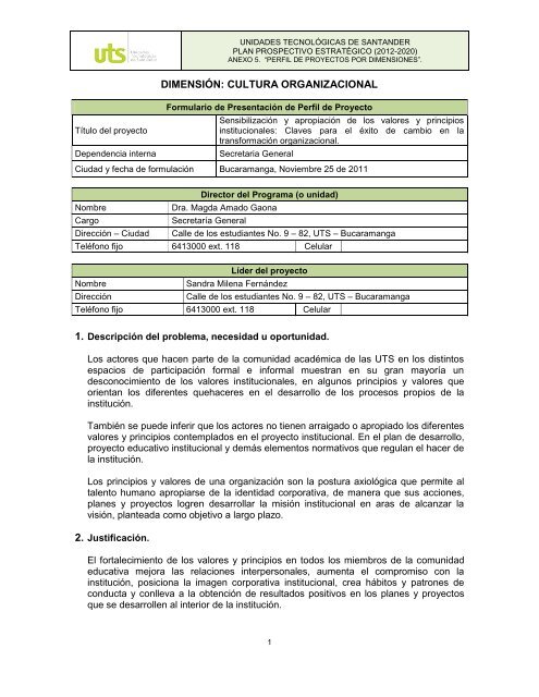 anexo 6. perfil de proyectos por dimensiones - Unidades ...