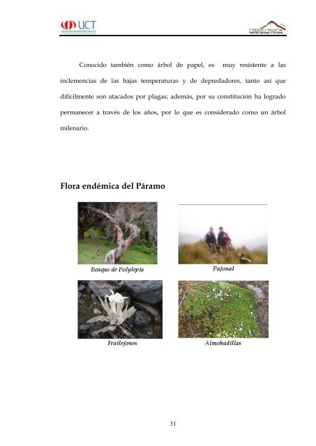 Cerro Varon.pdf - Repositorio Digital UCT - Universidad de ...