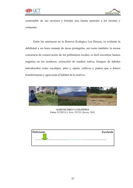 Cerro Varon.pdf - Repositorio Digital UCT - Universidad de ...