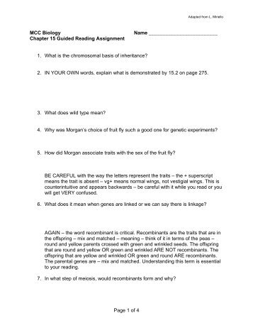 Chapter 15 Guided Reading Assignment 1. What is the ...