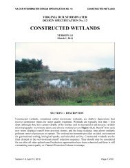 constructed wetlands - Virginia Water Resources Research Center