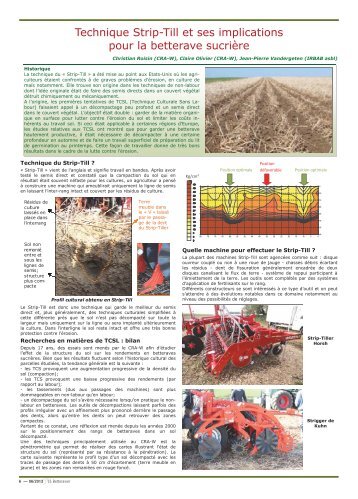 Technique Strip-Till et ses implications pour la betterave sucriÃ¨re
