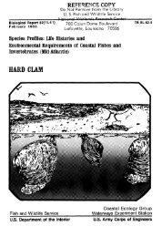 (mid-Atlantic): hard clam - USGS National Wetlands Research Center